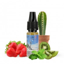 E-liquide Jet Lag Epic Bordo2