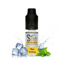 Arôme Mint Iceberg Solubarome